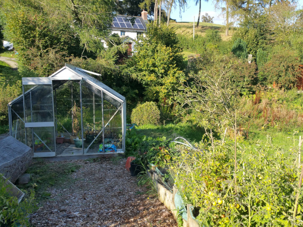 Planned polytunnel site